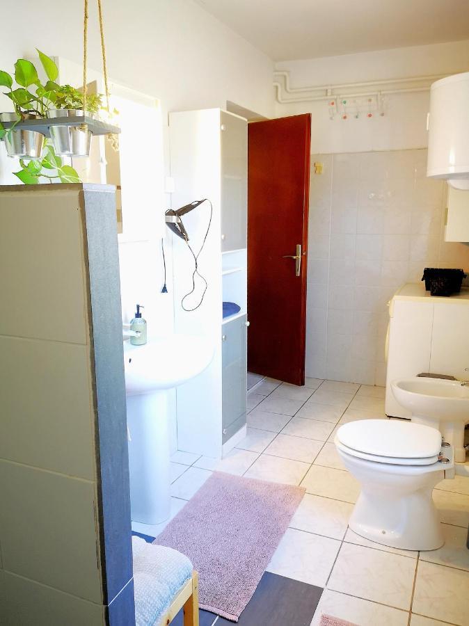 이졸라 Apartma Premrlova 아파트 외부 사진